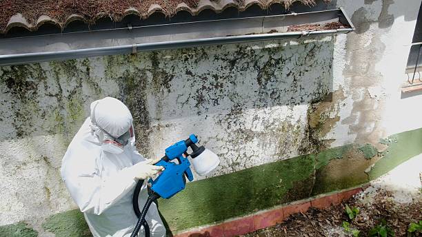 Trusted Bathroom Mold Removal service in Gig Harbor, WA - Cheap Mold Removal